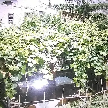 Kuca Za Odmor Cole *
